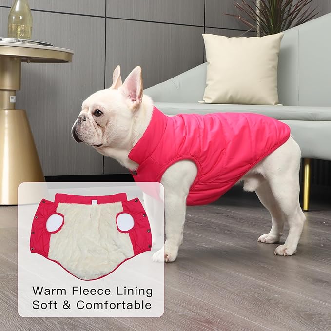 2 Layers Fleece Lined Warm Dog Jacket for Puppy Winter Cold Weather,Soft Windproof Small Dog Coat,Pink S