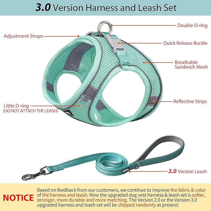AIITLE Small Harness for Puppy with A Leash - Summer Dog Vest Harness with Super Breathable Mesh, Reflective No-Pull Pet Harness for Outdoor Walking, Camping for Small Dogs, Cats Pure Turquoise XXS