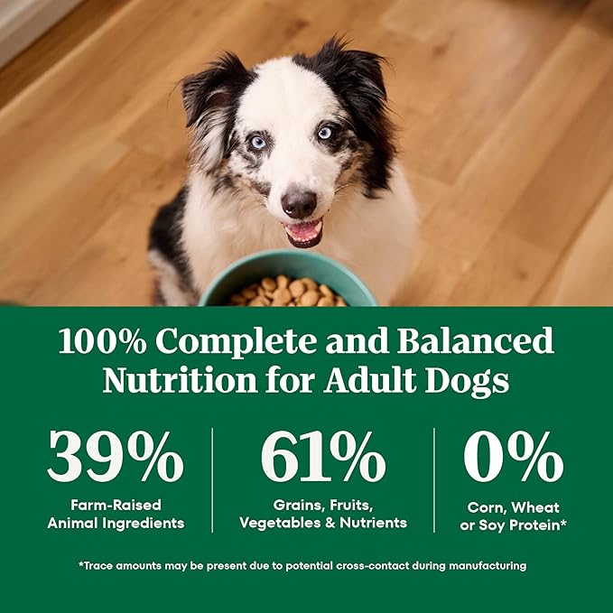 Nutro Natural Choice Lamb & Brown Rice Adult Dry Dog Food Recipe, 5 lb. Bag