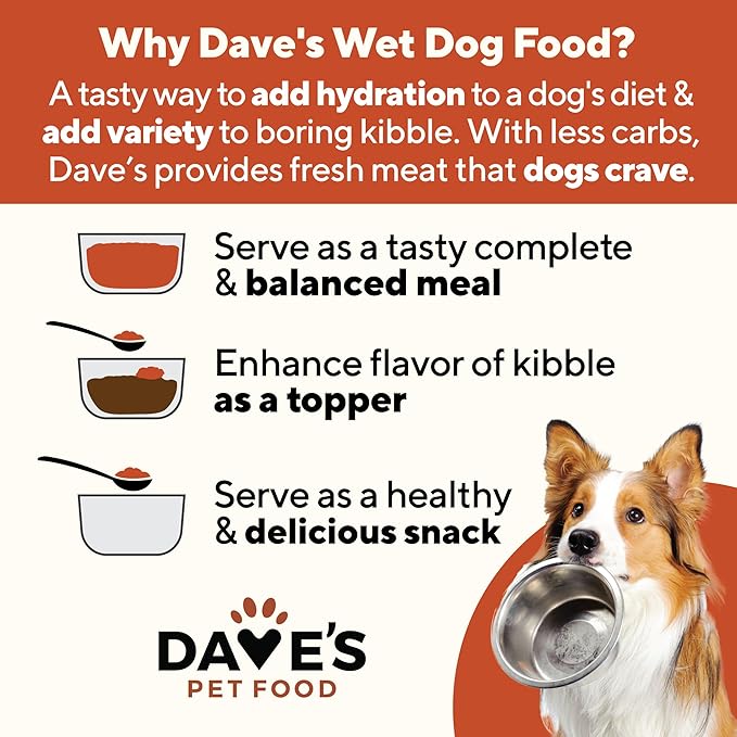 Dave's Pet Food Stewlicious Grain Free Wet Dog Food (Chicken & Vegetable in Gravy), Made in USA Naturally Healthy Canned, Gluten Free Topper, 13.2 oz (12 Pack)
