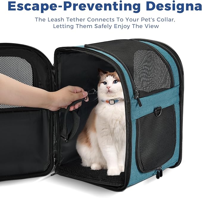 Apollo Walker Dog & Cat Carrier Backpack for 4-18lb Pets - Ventilated Safe Design with Padded Back Support, Breathable Mesh Pet Backpack for Hiking, Travel, Outdoor (Teal)