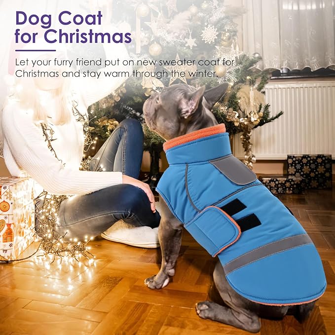 SUNFURA Dog Coat, XXL Dog Winter Jacket, Warm Snow Jacket for Extra Large Dogs, Thick Fleece Sweater Coats for Weimaraner, Labrador, Golden Retriever, Turquoise XX-Large