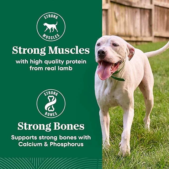 Nutro Natural Choice Lamb & Brown Rice Adult Large Breed Dog Food Dry Recipe, 30 lb. Bag