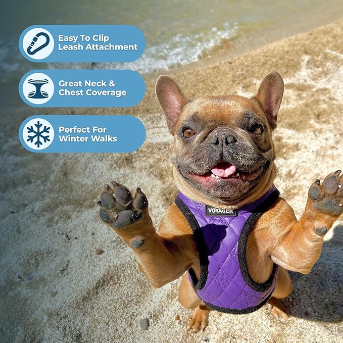 Best Pet Supplies - All Weather Mesh / Plush, Reflective, No Pull Harness for Small, Medium Dogs, Cats - Secure with Hook & Loop Fastener, Buckle, Double D-Rings - Purple Faux Leather, S