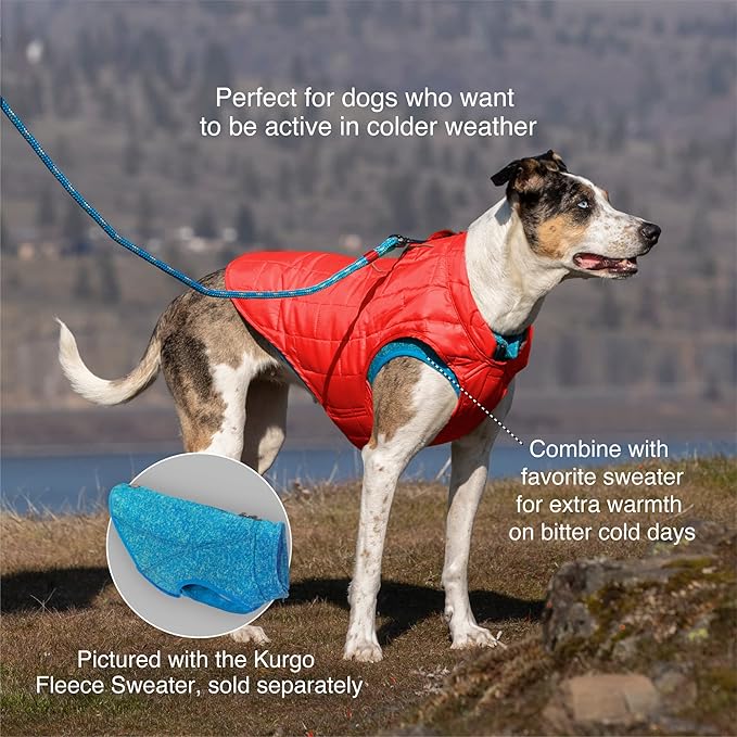Kurgo Loft Dog Jacket - Reversible Cozy Coat for Outdoor Adventures - Water Resistant - Athletic Fit - Machine Washable Fabric - Reflective Dog Gear - X-Small - Fall Festival