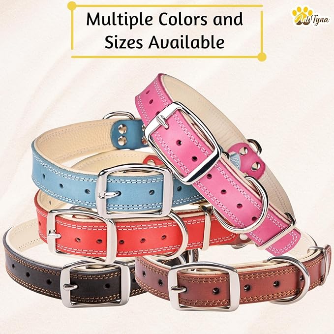 ADITYNA Heavy-Duty Pink Leather Dog Collar for Large Dogs - Lined with Soft Leather - Girl Dog Collar for Walking, Training, and Hiking