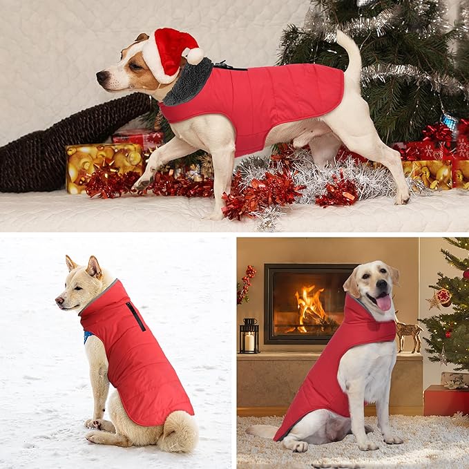 Dog Winter Coat, Waterproof Dog Jacket with Leash Hole, Reflective Adjustable Pet Snow Vest, Warm Fleece Sweater for Small Medium Large Dogs - Red, S