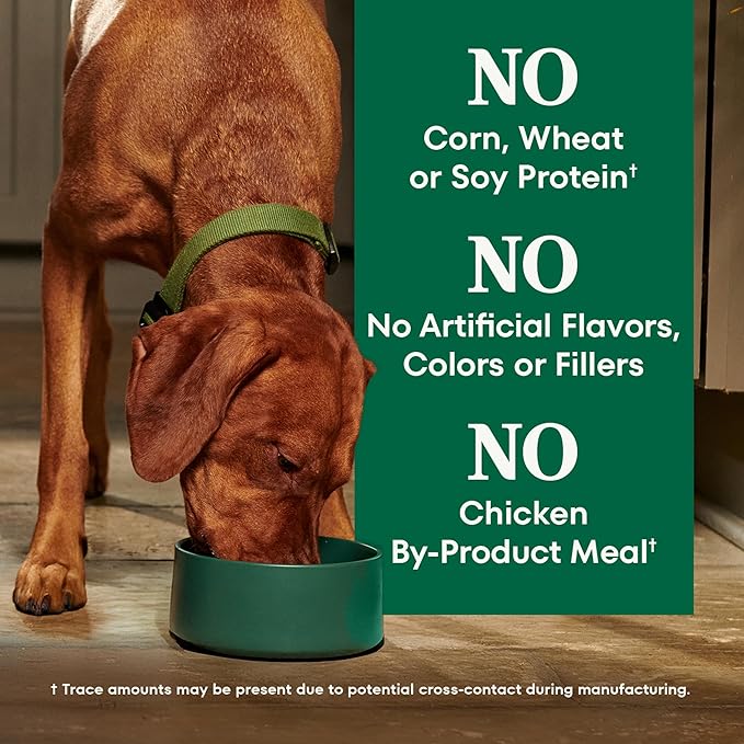 Nutro Natural Choice Chicken & Brown Rice Adult Healthy Weight Dog Food Recipe, 30 lb. Bag