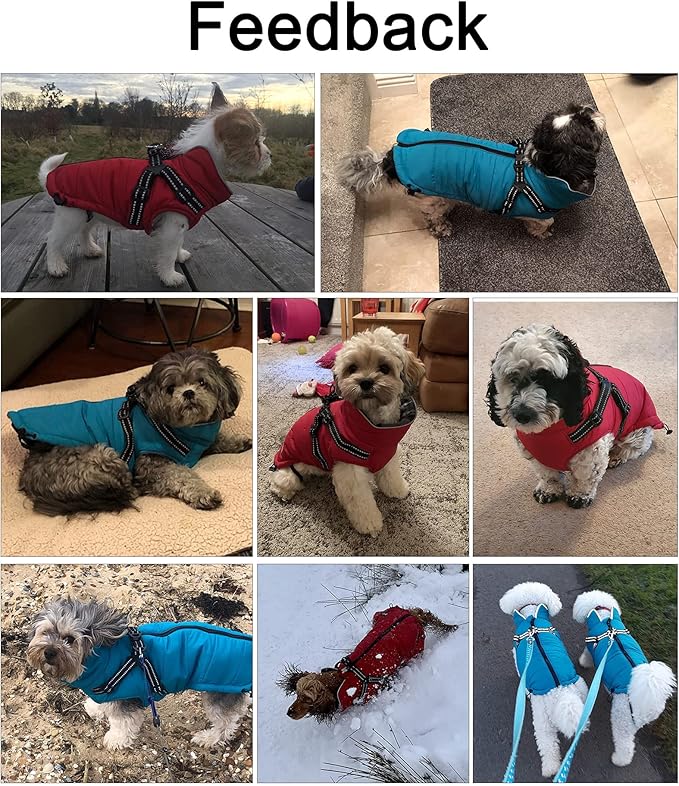 Geyecete Winter Warm Coat Waterproof Dog Winter Jacket with Harness Traction Belt,Pet Outdoor Jacket Dog Autumn and Winter Clothes for Medium, Small Dog-Green-L