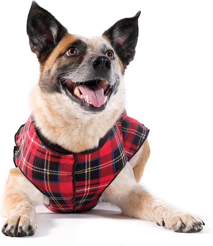 Goldpaw Duluth Double Fleece Dog Sweater Vest for Small Dogs - Soft, Stretchy Dog Fleece - Warm Pet Jacket for Fall and Winter - Premium Pet Outerwear - Machine Washable - Red Tartan/Black - Size 10