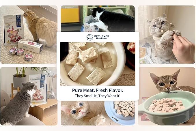 Freeze-Dried Cat Food, 97% Animal Origin Soft Dry Food for Cats Kitten, High Protein Healthy Freeze Dried Cats Raw Treat & Topper (Pork Recipe - 14 Ounce)