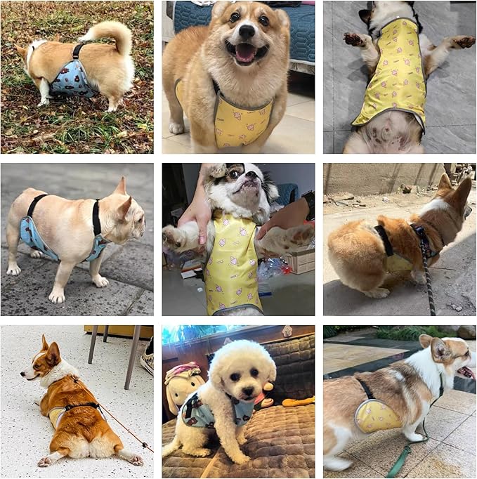 Waterproof Belly Shield for Corgis & Dachshunds – Adjustable underbelly Protector. Male/Female Designs. Stays Dry in rain, mud & Grass. Ideal for Sensitive Skin (Blue - Male, S)