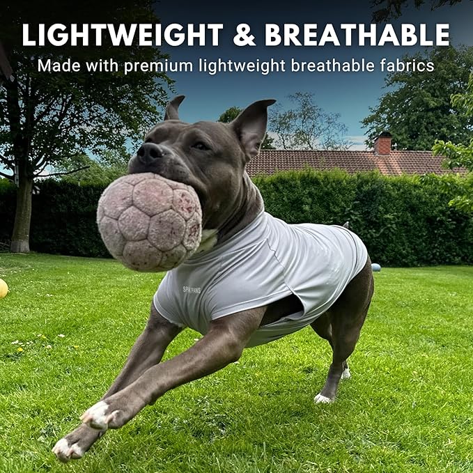 Spark Paws Sunblock Dog T-Shirt, SPF30 Protection, Lightweight Breathable Quick Dry for Dogs with Sensitive Skin - Blue & Grey (Set of 2) - L