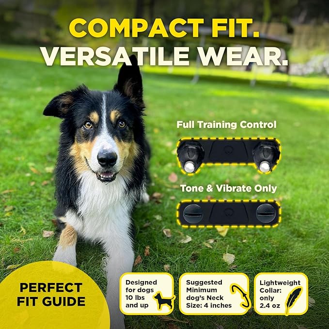 Dogtra 200iQ Remote Training E Collar – 100 Levels, Tone, Vibration, 1/2 Mile Range – Compact, Waterproof, One-Handed Control for Dogs 10 lbs+ – Lightweight Design for Daily Training – Zebra