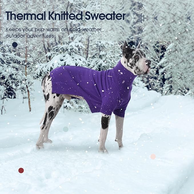 IECOii Dachshund Sweater,Turtleneck Dog Sweater for Small Medium Dogs Girl Boy,Stretchy & Breathable,Warm Knitted Pullover Coat,High Neck Knitwear for Cold Weather Indoor & Outdoor Wear (Purple, M)