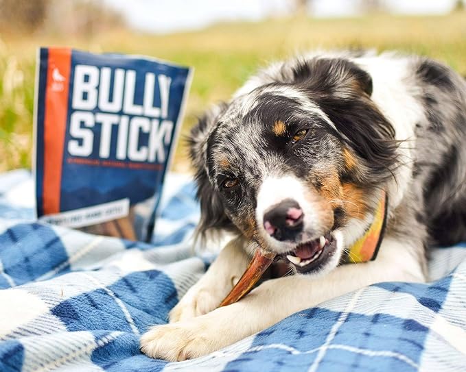 Wild Wolf 12-inch Angus Bully Sticks (8oz.) Healthy, All-Natural, Long-Lasting Dog Chew Bones - Low Odor - Mixed Thickness - Lab-Tested, Hand-Inspected and Packed with Love in The USA