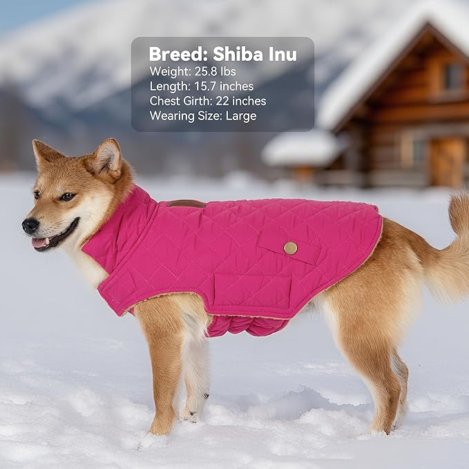 Dog Coat, Warm Windproof Dog Coats for Large Dogs Boy, Waterproof Pet Winter Jacket, Cold Weather Clothes Dogs Snowsuit with Leash Hole, Rose Red XXX-Large