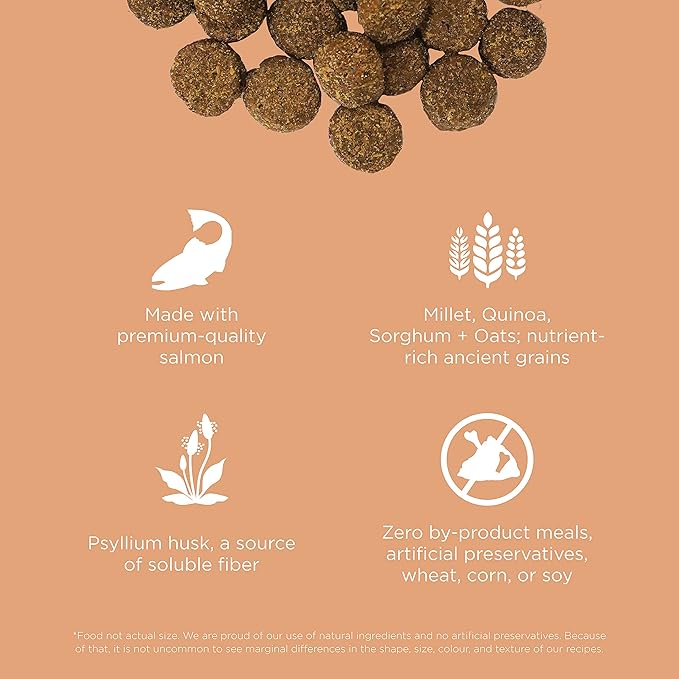 Go! Solutions Digestion + Gut Health, Dry Dog Food, Salmon Recipe with Ancient Grains, 12 lb Bag