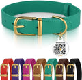 BRONZEDOG Leather Dog Collar with QR ID Tag Basic Pet Collars for Small Mini Dogs Cats Puppies (7-9 Inch (Pack of 1), Green & Gold Buckle)