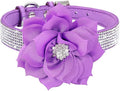 Serijoars Small Dog Collar with Rhinestone Crystal Diamond Colorful Bling Girl Puppy Cat Collars (L, Purple6)