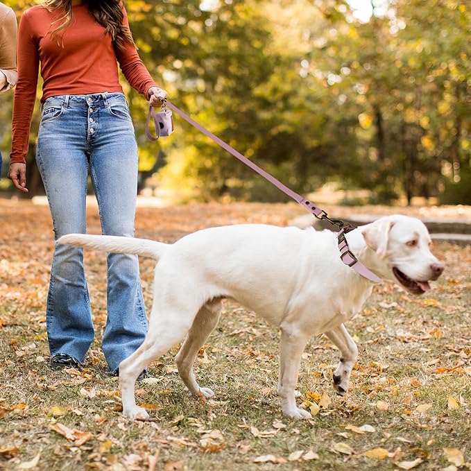 Wisedog Dog Collar and Leash Set, Waterproof Adjustable Puppy Collars with Cute Tag 6FT Dog Leash with Poop Bag for Small Medium Large Dogs (XL(Collar:16"- 25.5";Leash:6 ft), Pale Pinkish Purple)
