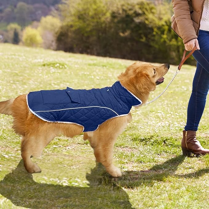 Malier Dog Winter Coat, Windproof Dog Cold Weather Coats with Real Pocket, Winter Extra Warm Pet Coat Fleece Jacket Reflective Clothes for Small Medium Large Dogs and Puppy (Blue, XXX-Large)