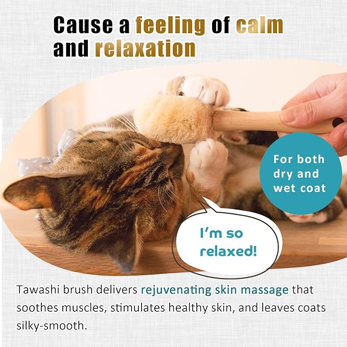 Cat Grooming Massage Tawashi Brush with Wood Handle Less Static Natural Sisal Fiber Made in Japan (Type-A)