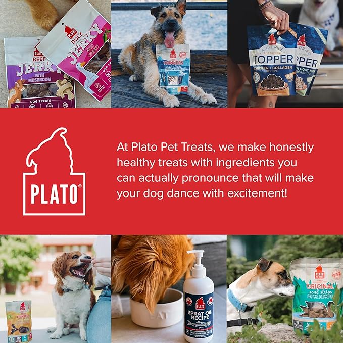 PLATO Pet Treats Jerky Dog Treats - Air-Dried Jerky for Dogs - Delicious, Real Meat Dog Treats - Grain Free - Supports Healthy Digestion - Chicken Jerky with Goat Milk 16oz