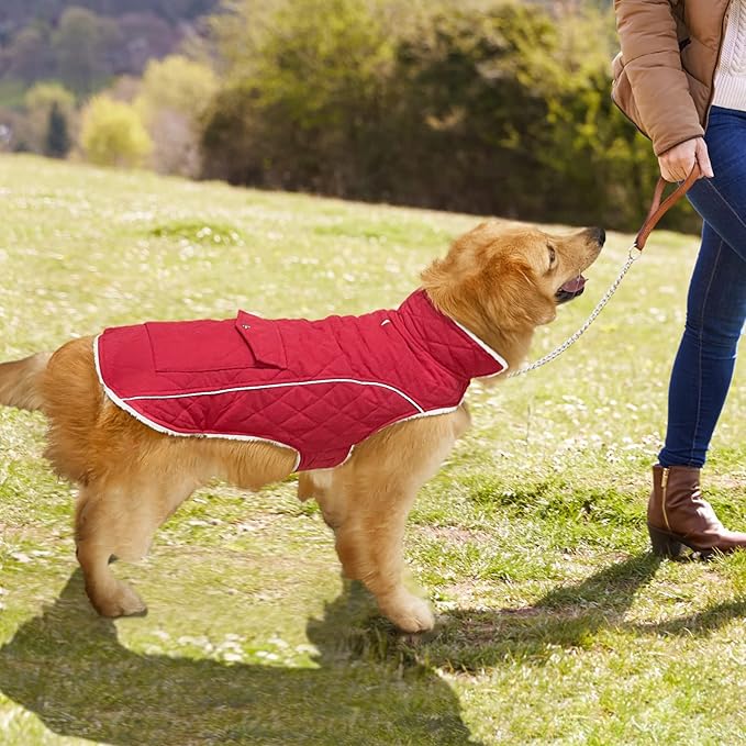 Malier Dog Winter Coat, Windproof Dog Cold Weather Coats with Real Pocket, Winter Extra Warm Pet Coat Fleece Jacket Reflective Clothes for Small Medium Large Dogs and Puppy (Red, X-Large)