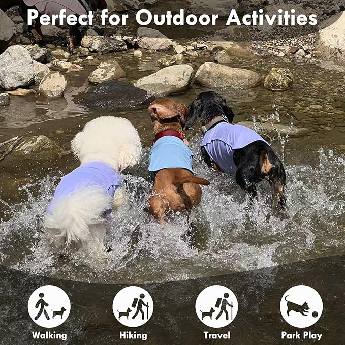 2 Pack Dog Shirt, Quick Dry Cooling Tshirts for Dogs Large, Breathable Durable UPF50+ Summer Clothes, Lightweight Prevent Overheating Vest, Blue+Grey, 3XL