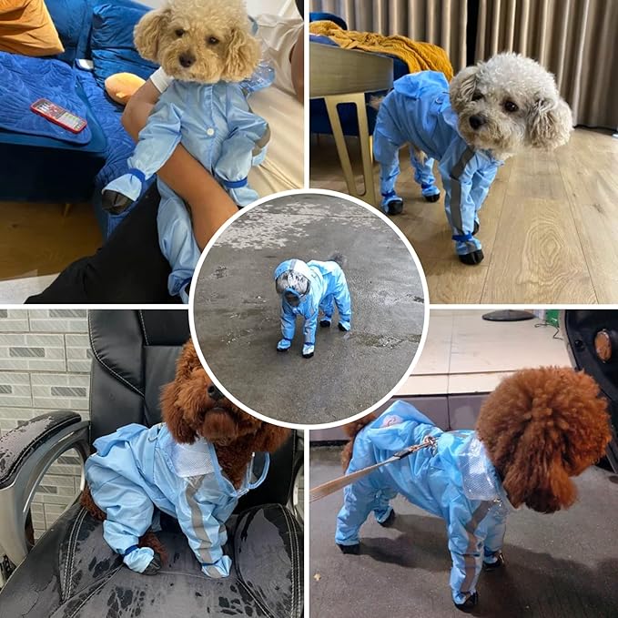 Full Coverage Small Dog Raincoat, Waterproof with Four-Leg Protection, Ideal for Teddy Bears, Includes Waterproof Mini Backpack (Blue, X-Large(Suggest Weight 13.2-16.6lb))