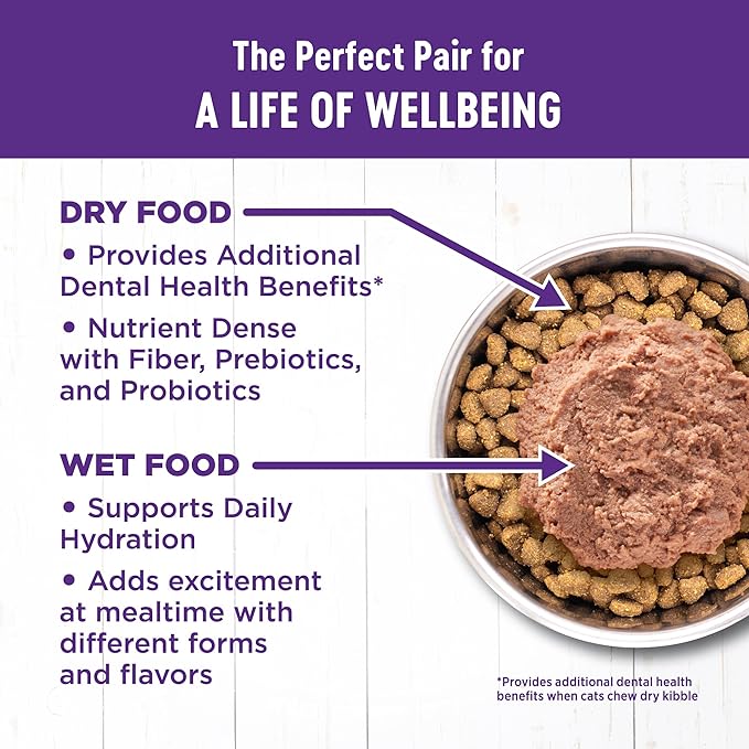 Wellness Complete Health Adult Dry Cat Food for Indoor Cats, Grain Free, Natural, Healthy Weight Chicken & Turkey Meal (11.5 Pound Bag)