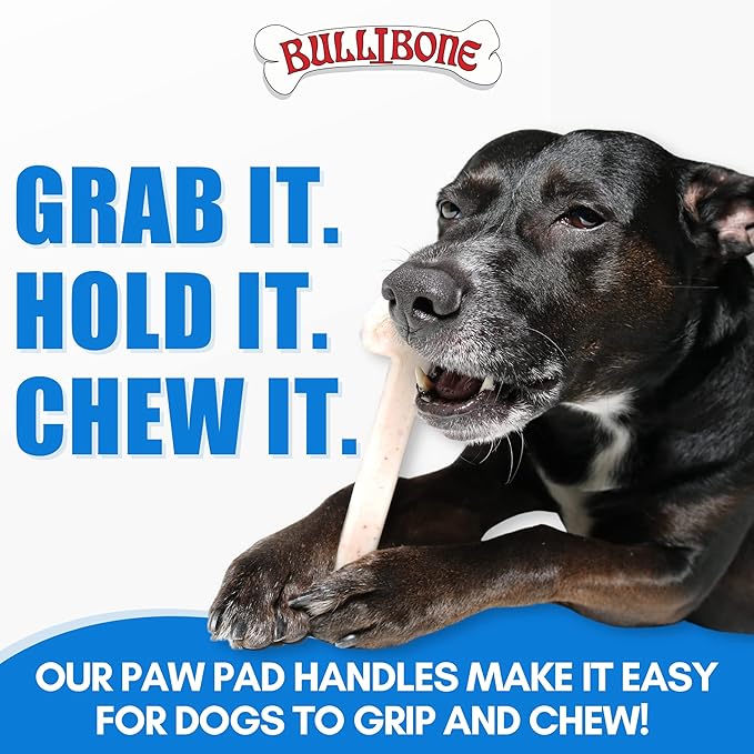 Bullibone Nylon Dog Chew Toy Nylon Bone - Improves Dental Hygiene, Easy to Grip Bottom, and Permeated with Flavor (Beef, Large - Single)