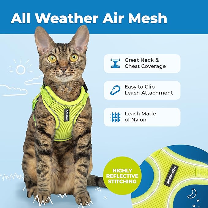 Voyager Escape Proof Cat Harness and Leash Set with Reflective Stitching, Neoprene Handle 5ft - Supports Small, Medium and Large Cats, Kittens for Walking by Best Pet Supplies - Lime, XXS