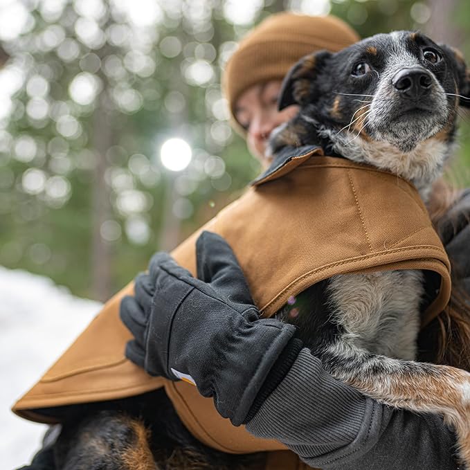 Carhartt Firm Duck Dog Chore Coat, Insulated Weather Resistant Jacket for Cold and Windy Conditions, Black, Large
