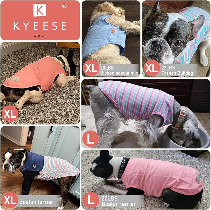 KYEESE 2Pack Dog Shirts Small Tee Soft for Small Dogs Striped T Shirt Lightweight Sleeveless Vest Cotton Tank Top Clothes, Large,Green+Striped