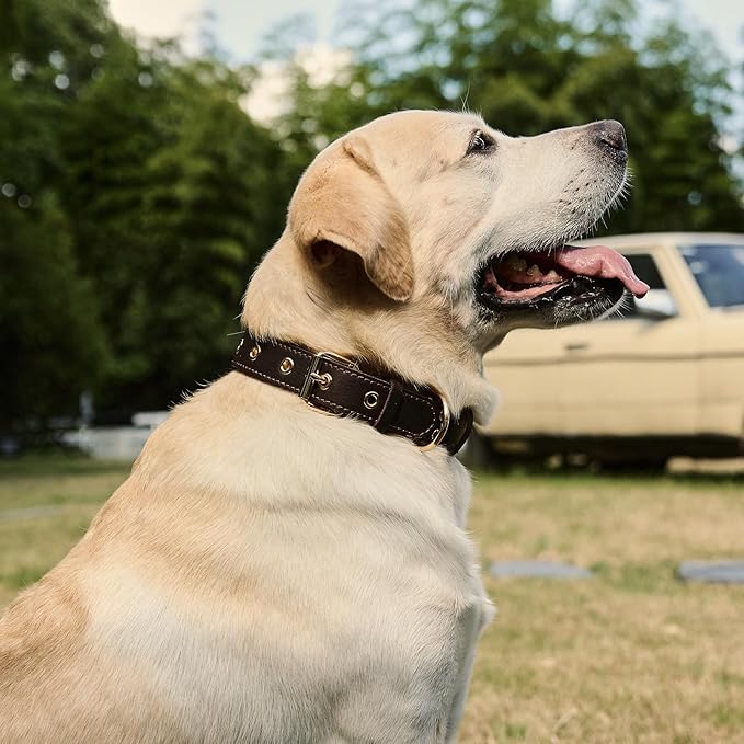 Leather Dog Collar, Dog Collar with Adjustable Sturdy Metal Buckle,Heavy Duty Dog Collar for Walking, Hiking, Training, Hunting (Brown,S:15.2"-19.2" Neck)