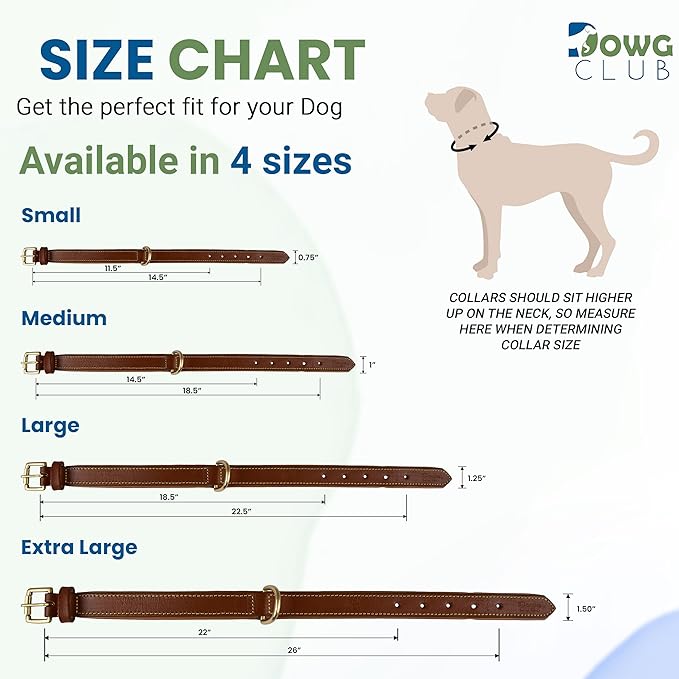 Leather Dog Collar for Medium Dogs, Light Pink, 1 Inch Wide, Genuine Leather, Heavy Duty with Soft Inner Padding, Comfortable and Durable (Blush Pink, M (Fit Neck Size 14.5"-18.5"))