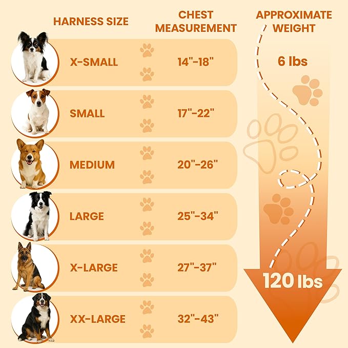 Bark Appeal Red No-Pull Dog Harness for Medium to Large Sized Pets – Adjustable, Reflective Vest with 3 Leash Clips for Added Control, Easy Walks & Training – Large