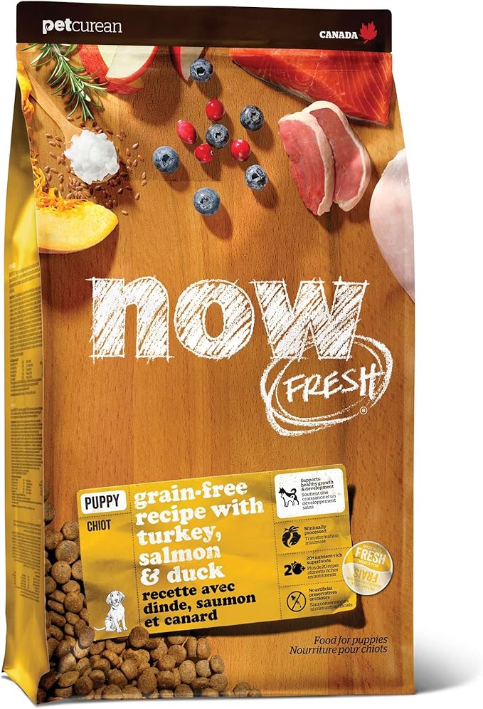 Now Fresh Grain-Free Dry Puppy Food with Turkey, Salmon & Duck, Healthy Kibble for Growing Dogs with Real Meat & Fish, Chicken-Free, Enhanced with Pumpkin & Probiotics for Good Digestion, 22 lb Bag