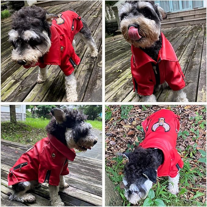 Lovelonglong Cool Dog Leather Jacket, Warm Coats Dogs Windproof Cold Weather Coats for Large Medium Small Dogs with Eagle Embroidery Red XL
