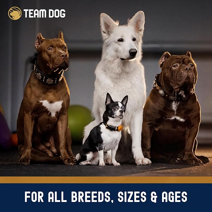 Team Dog Essential Blend Premium Herring & Salmon Dog Food | Sensitive Stomach Dog Food | Gluten & GMO Free, No Corn, Wheat, No Soy Chicken Free | All Life Stage Formula (33 lb)
