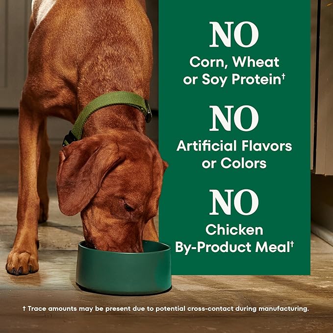 Nutro Natural Choice Lamb & Brown Rice Adult Large Breed Dog Food Dry Recipe, 36 lb. Bag