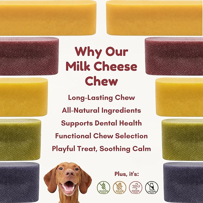 Majestic Pet Himalayan All-Natural Yak Cheese Dog Chews Made with 100% Cows Milk- Long Lasting Dental Chew for Dogs - Healthy Pet Treats (Digestive & Immune Support, Regular, 1 Pack)