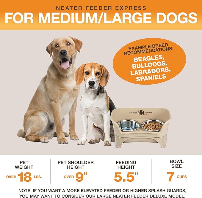 Neater Feeder Express Mess Proof Dog Bowls Elevated for Medium to Large Sized Breed, No Spill Raised Dog Food Bowl Stand, Stainless Steel Food and Water Bowl Set, Pet Dish Feeding Station, Almond