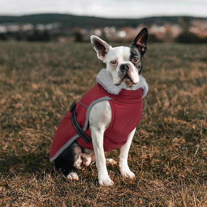 Lelepet Warm Dog Winter Coat Reflective Dog Jacket Fleece Vest Waterproof Windproof Cold Weather Coats with Adjustable Buckle Plush Turtleneck Pet Snowsuit for Small Medium Large Dogs,Pug,Beagle,L