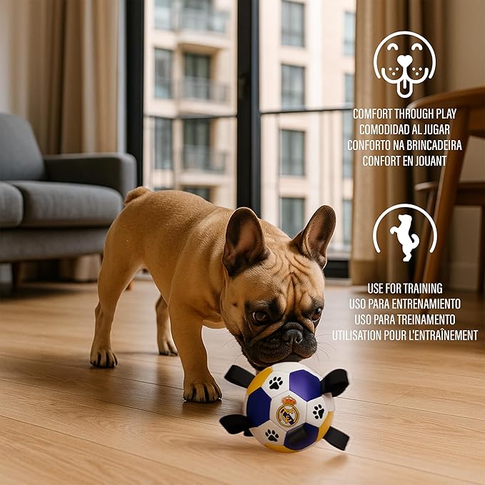 ProBall Pets Interactive Dog Soccer Ball with Grab Tabs - Floats on Water, Fetch & Training Toy for Small Medium Dogs, Herding Breeds - Waterproof Non-Toxic - 6" Real Madrid
