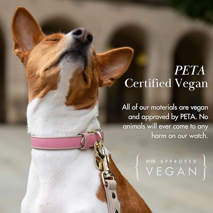 NINA WOOF Rio Padded Luxury Dog Collar - Vegan Leather, Adjustable Buckle - Fits Small to Large Dogs - Peach