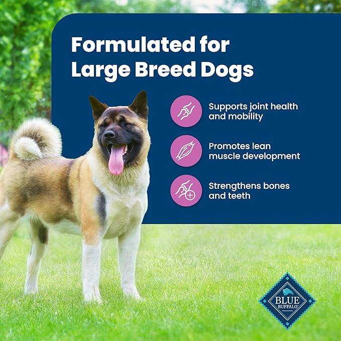Blue Buffalo Life Protection Formula Large Breed Adult Dry Dog Food, Promotes Joint Health and Lean Muscles, Made with Natural Ingredients, Lamb & Brown Rice Recipe, 30-lb Bag