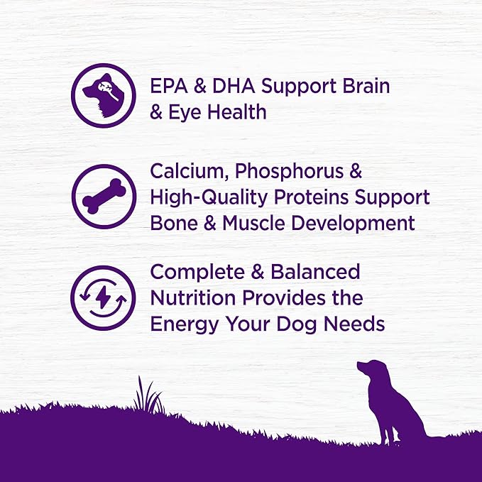 Wellness Complete Health Dry Puppy Food, Chicken, Salmon & Oatmeal, 15-Pound Bag